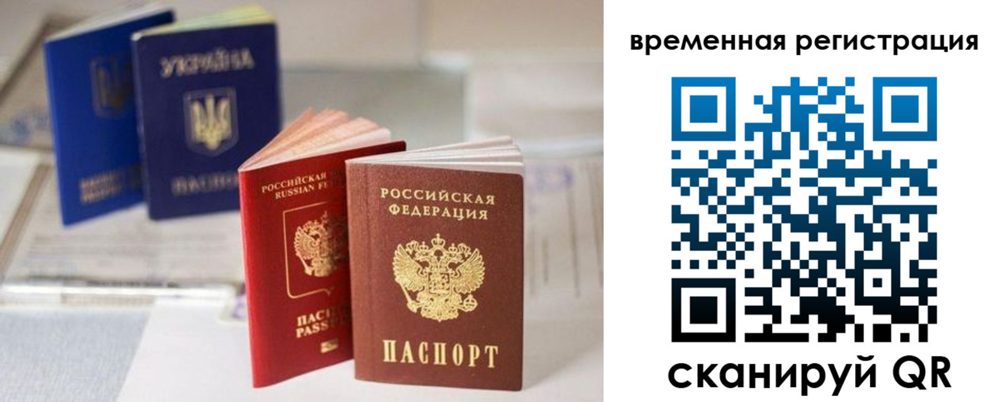 прописка поиск в Александровске